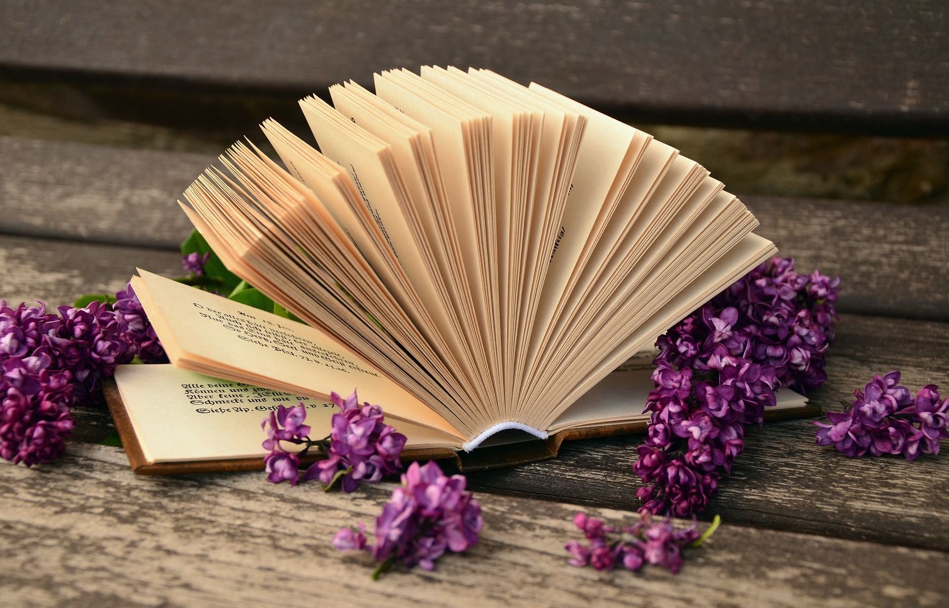 An open book on a wooden table. Surrounded by purple flowers